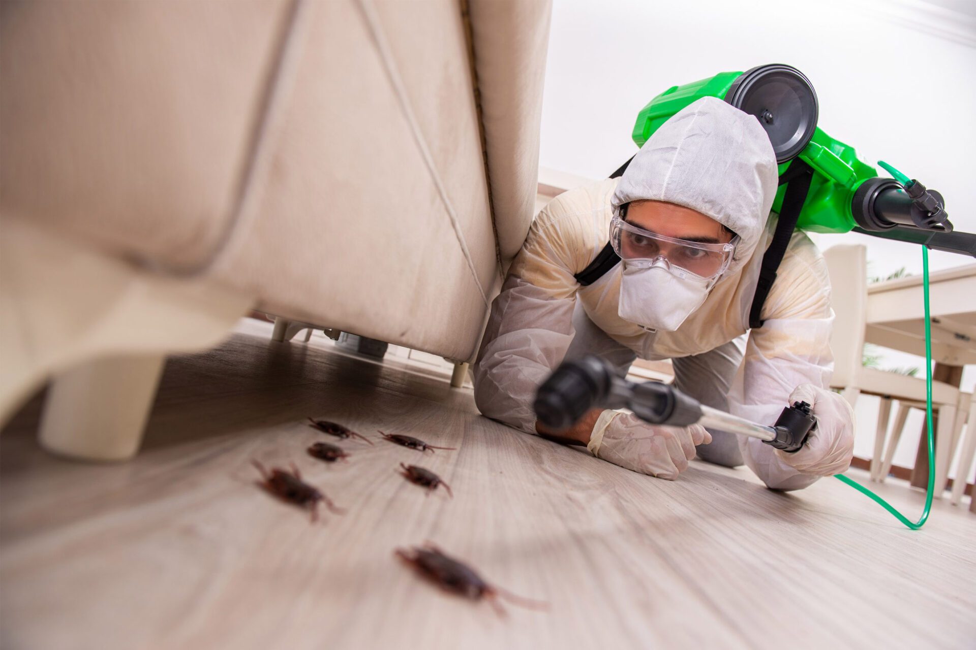 Our-story-pest-control